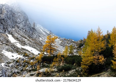 Morning On High Altitude In Autumn Julian Alps - Trail To Velika Mojstrovka Slovenia