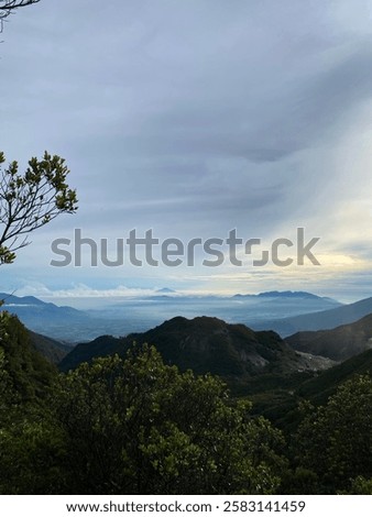 Similar – Image, Stock Photo my friend, the tree!