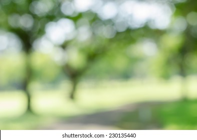 Morning Park Unfocused 