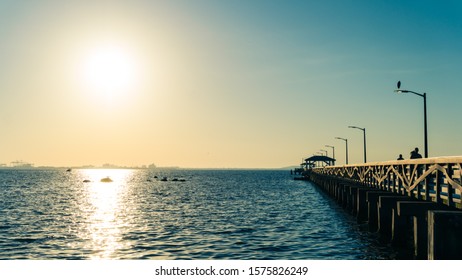 Morning Photo Of The Pier At Ballast Point, South Tampa, Bayshore