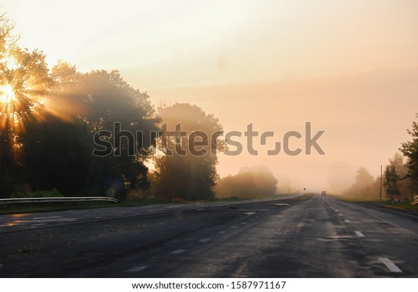 Morning road, fog and rays of the bright morning\
sun breaking through the green foliage of trees on the side of the\
road. \
Shot from a car\
window\
