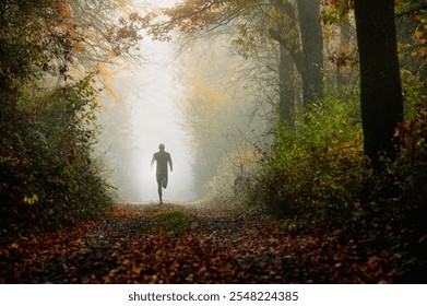 Morning Run through Foggy, Sunlit Autumn Woodland Path - Powered by Shutterstock