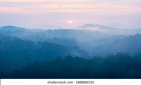 Morning scene of sunrise with tropical rainforest covered with fog and mist at sunrise. - Powered by Shutterstock