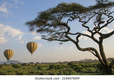 A Morning Of The Serengeti. Enjoy Africa Safari With Hot Air Balloon.