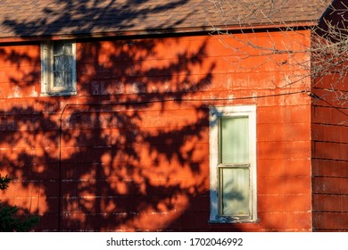 Morgenschatten eines Baumes auf rotem Haus.