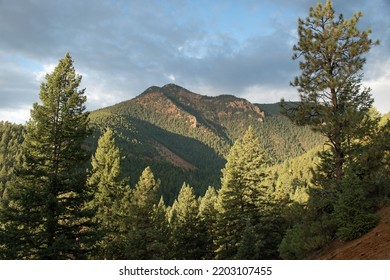 Morning Shadows In The Forest And Mountains Of North Cheyenne Canon Park Colorado Springs