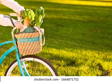 Morning Shopping. Woman Has Bought Organic Vegetables And Packing Them Into Basket On Bike, Copy Space