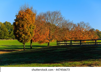 Morning Sun On A Horse Farm In Northern Virginia, With Trees, Pasture, Grass And Fencing. 