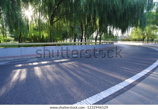 The morning sun shines on the road through\
the trees, forming a light and\
shadow.