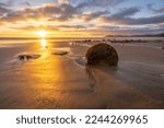 Morning sun shining in Moeraki Boulders, Hampden, New Zealand