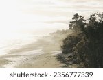 Morning sun and surf at the ocean, beach and forest, Tasmanian sea, New Zealand 