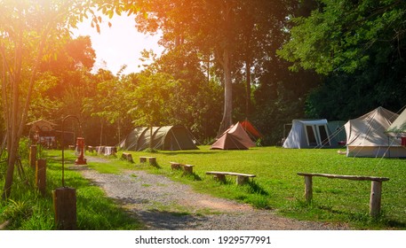 Morning sunlight on surface of various field tents group on green lawn in campsite area at natural parkland