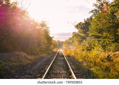 The Morning Sunlight Shining On The Railroad 