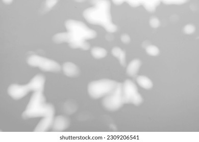 Morning sunlight and tree shadows blowing by wind reflecting on white texture background, for overlay on product presentation, backdrop and mockup, Abstract background. - Shutterstock ID 2309206541
