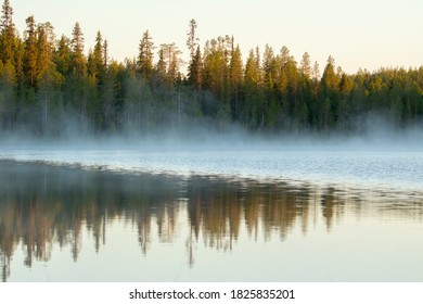 Morning Sunrise With Fog By The Lake In Northern Taiga Forest In Northern Finland, Europe