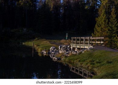 Morning Sunrise In A Grassy Field