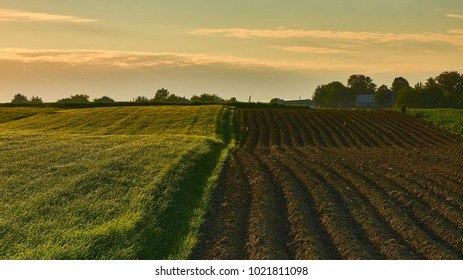 Morning Sunrise Green Grass Farm On Stock Photo 794377984 | Shutterstock