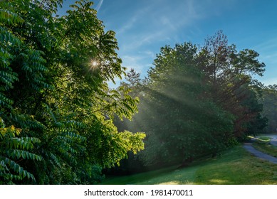 Morning Sunrise Rays, Great Catch On My Morning Walk.