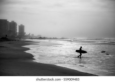 A Morning Surfer Heads Out To The Ocean In Coronado, CA.