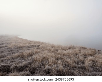 Morning of a swampy. Sunny morning view of a swampy plain of a wide area at dawn. Hills of  horizon is foggy. Thick withered grass in the foreground in frost.  - Powered by Shutterstock