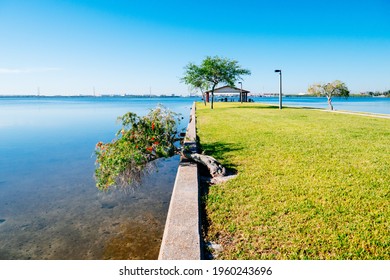 Morning Of Tampa Bay Beach