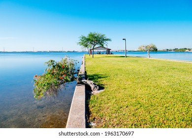 Morning Of Tampa Bay Beach