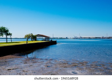 Morning Of Tampa Bay Beach