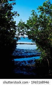 Morning Of Tampa Bay Beach