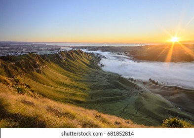 Morning At Te Mata