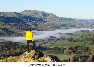 Morning At Te Mata