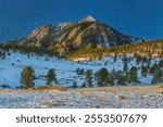 "Morning View of Bear Peak, Pine Trees and Snow"