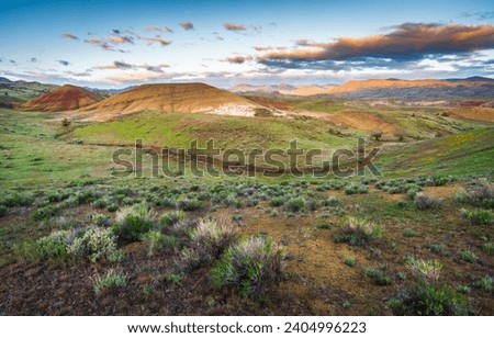 Morning View of Grasslands and Painted Hills Unit of John Day Fossil Beds National Monument, Oregon