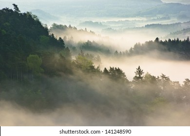 Morning View Into Landscape Full Of Fog And Tree Tops