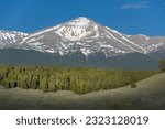 "Morning View of Mount Elbert and Pine Trees"