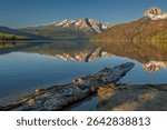 "Morning View of Mountains, Lake Reflections and Driftlog"