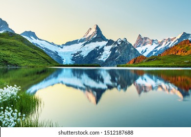 Morning view on Bernese range above Bachalpsee lake. Popular tourist attraction. Location place Switzerland alps, Grindelwald valley, Europe.  - Shutterstock ID 1512187688