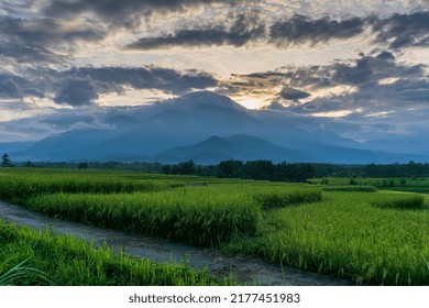 morning view on the road in the green and fertile rice field area and mountains in the early morning