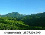 Morning view of Tea plantations in Munnar, Kerala, India. 