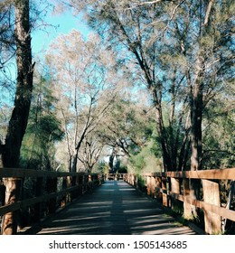 Morning Walk In Canning River Park.