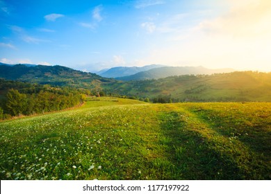 A morning walk on the hills - Powered by Shutterstock