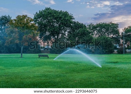 Morning watering of a green field in a city park, municipal public park irrigation system. Lawn sprinklers spray water on the green grass in the early morning against the backdrop of beautiful nature