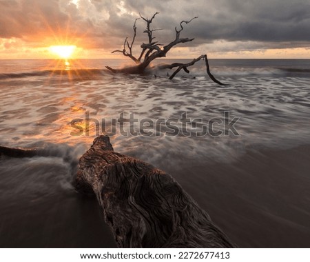 The morning waves break along the seashore and fallen trees at Driftwood Beach at sunrise.