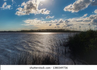 Morning At Western Lake In Grayton Beach 