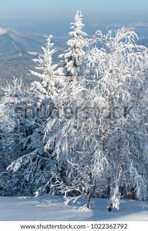 Similar – Foto Bild Rauhreif Winter Natur