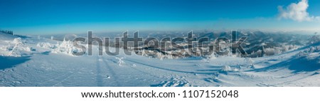 Similar – Foto Bild Rauhreif Winter Natur