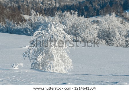 Similar – Foto Bild Wintersonne… Umwelt