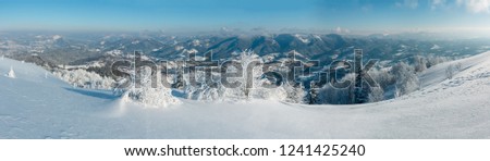 Foto Bild Rauhreif Winter Natur