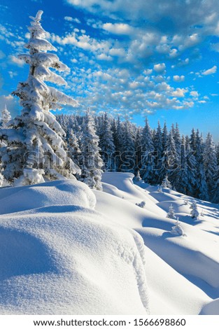 Similar – Image, Stock Photo Winter morning scene with snowy Alps mountains in Austria