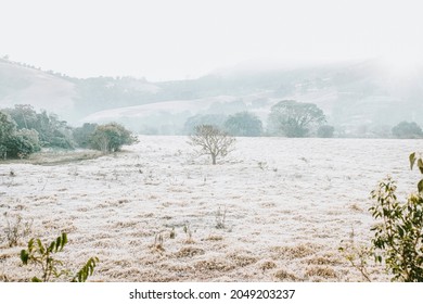 Morning Winter Rural landscape and forest in Brazil 2021