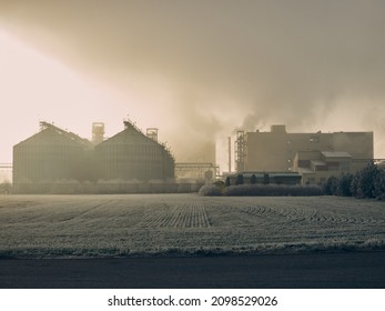 The Morning Winter Sun Illuminates The Plant For The Production Of Food Additives For Livestock, Fog, Smoke Billows From The Pipes, Environmental Pollution